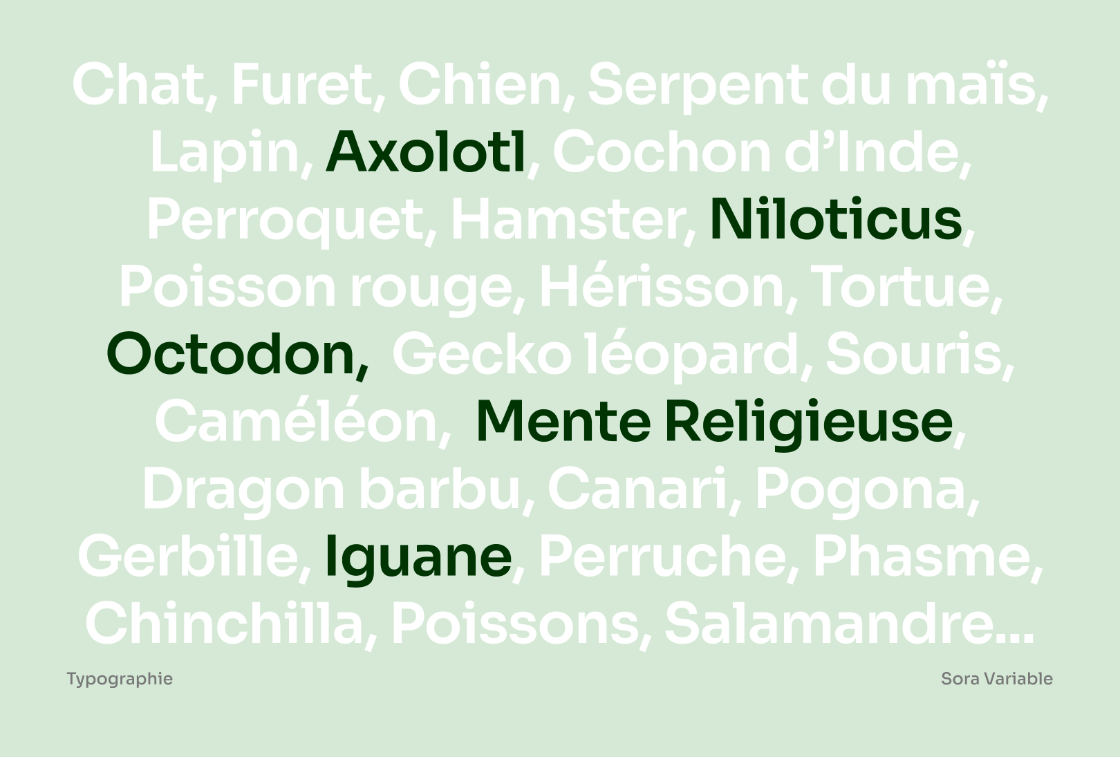 Anomi project image 9